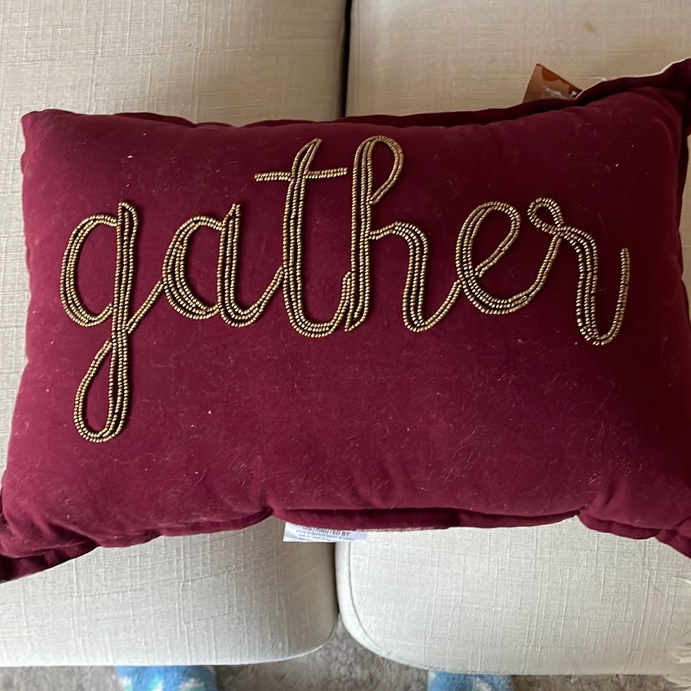 NWT Celebrate Together Accent Pillow
